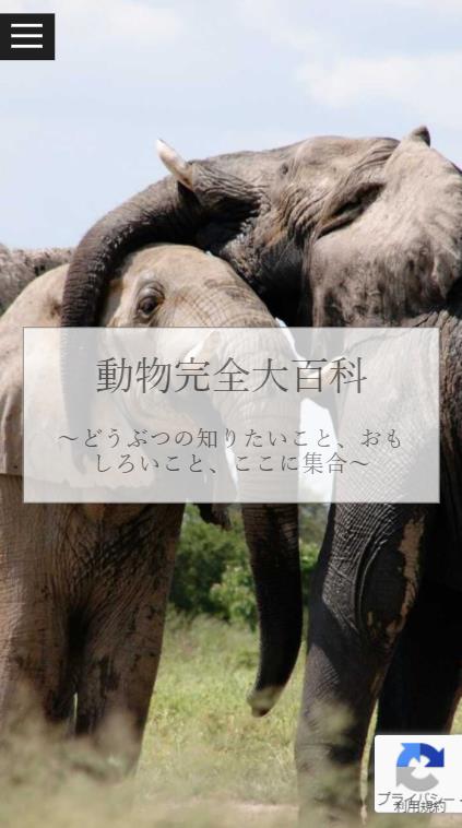 モバイル表示