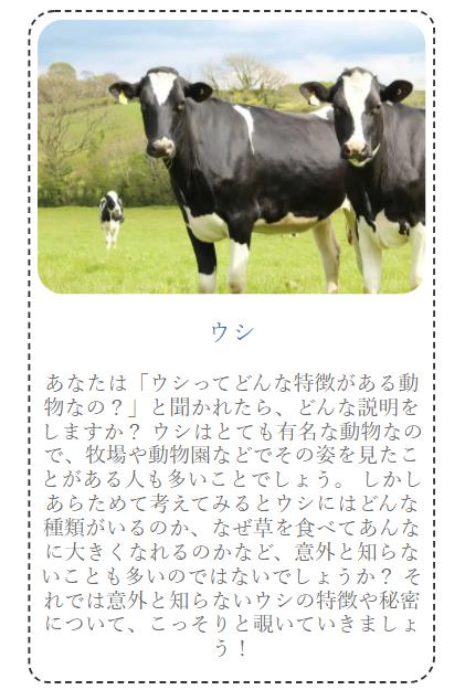 モバイル表示