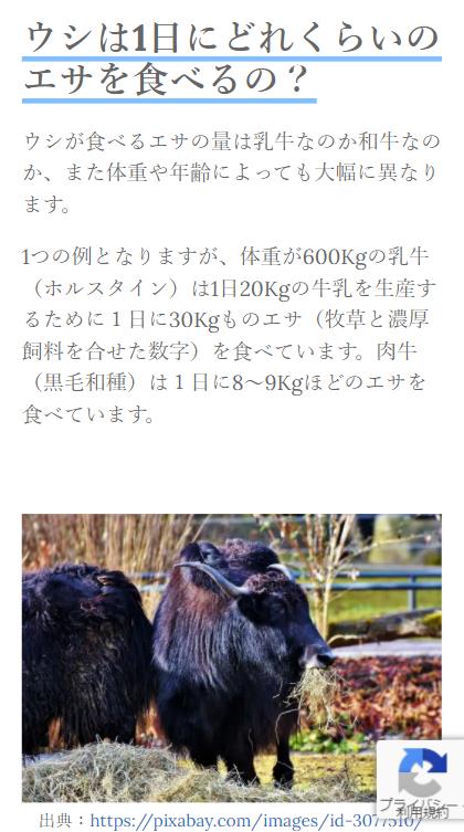 モバイル表示