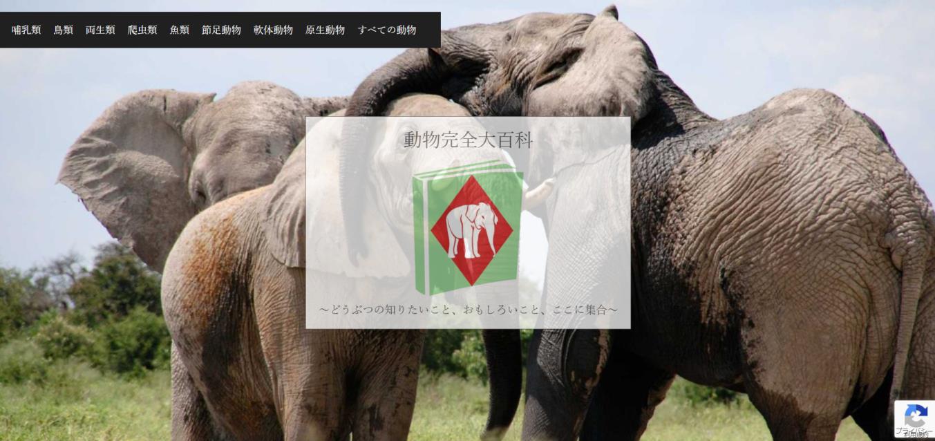 トップページ