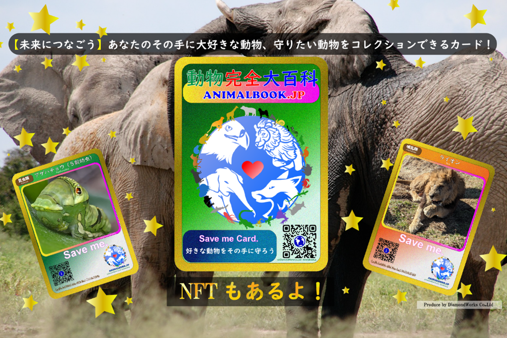 Saveme Cardについて